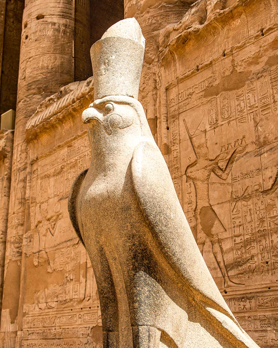 The god hawk Horus at Edfu Temple on a cruise to Luxor Egypt