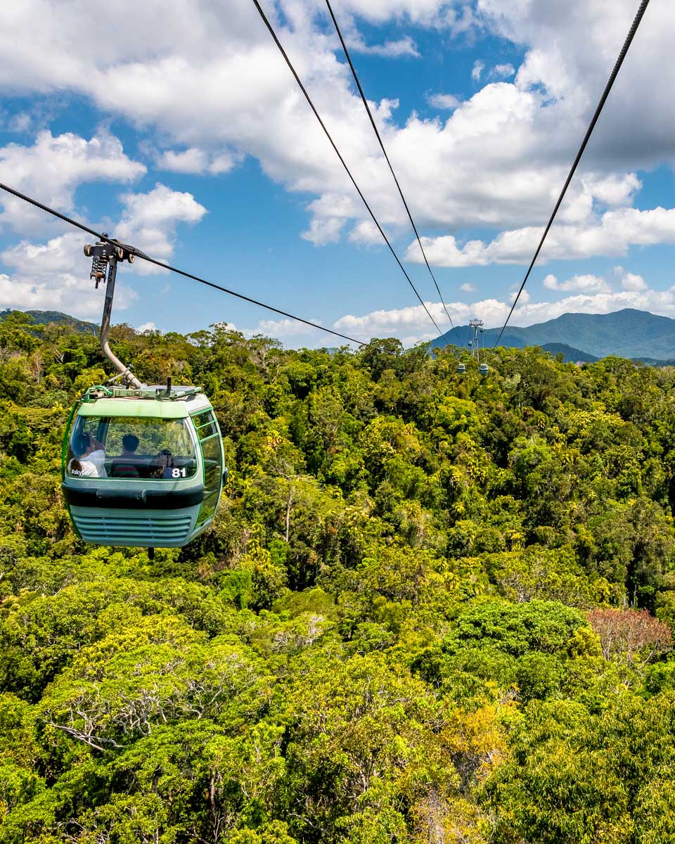 The view from the Skyrail Rainforest Cableway on a tour from Cairns Australia