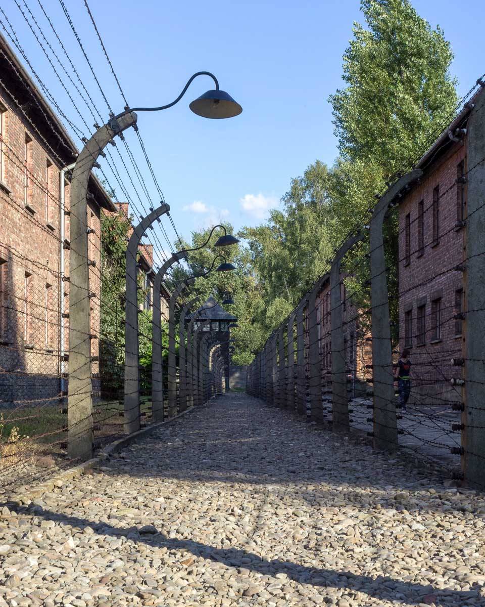 The walk into Auschwitz on a tour from Krakow Poland