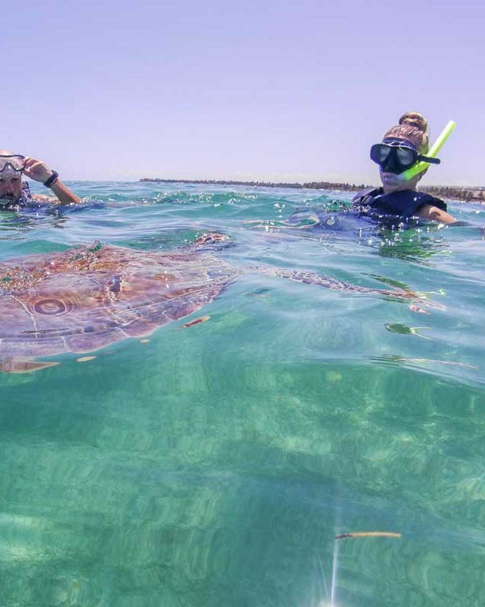 Two-people-swim-with-a-turtle-on a tour from Curacao