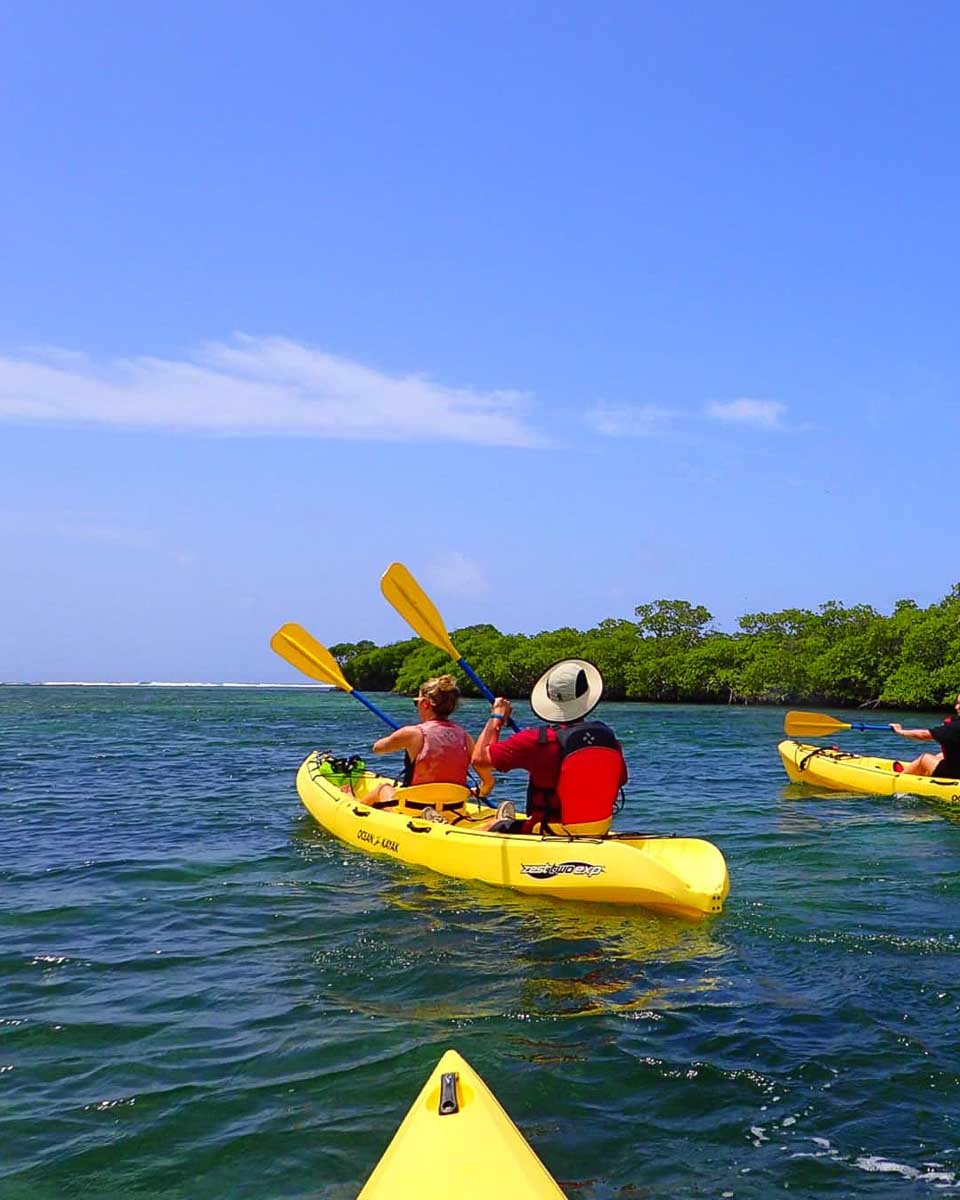 Virgin Islands Ecotours people kayaking on a tour from St Thomas Virgin Islands