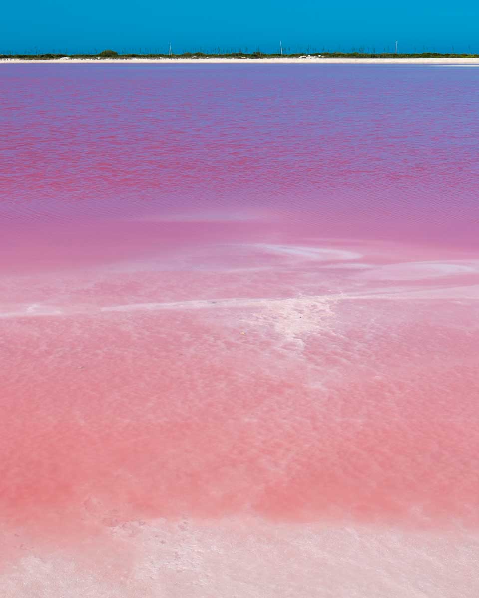 las coloradas pink lagoon seen on a tour from Merida Mexico