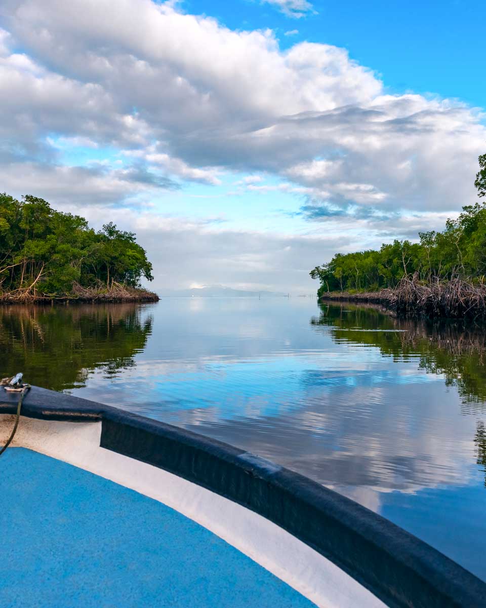 A boat in Caroni National Park Trinidad
