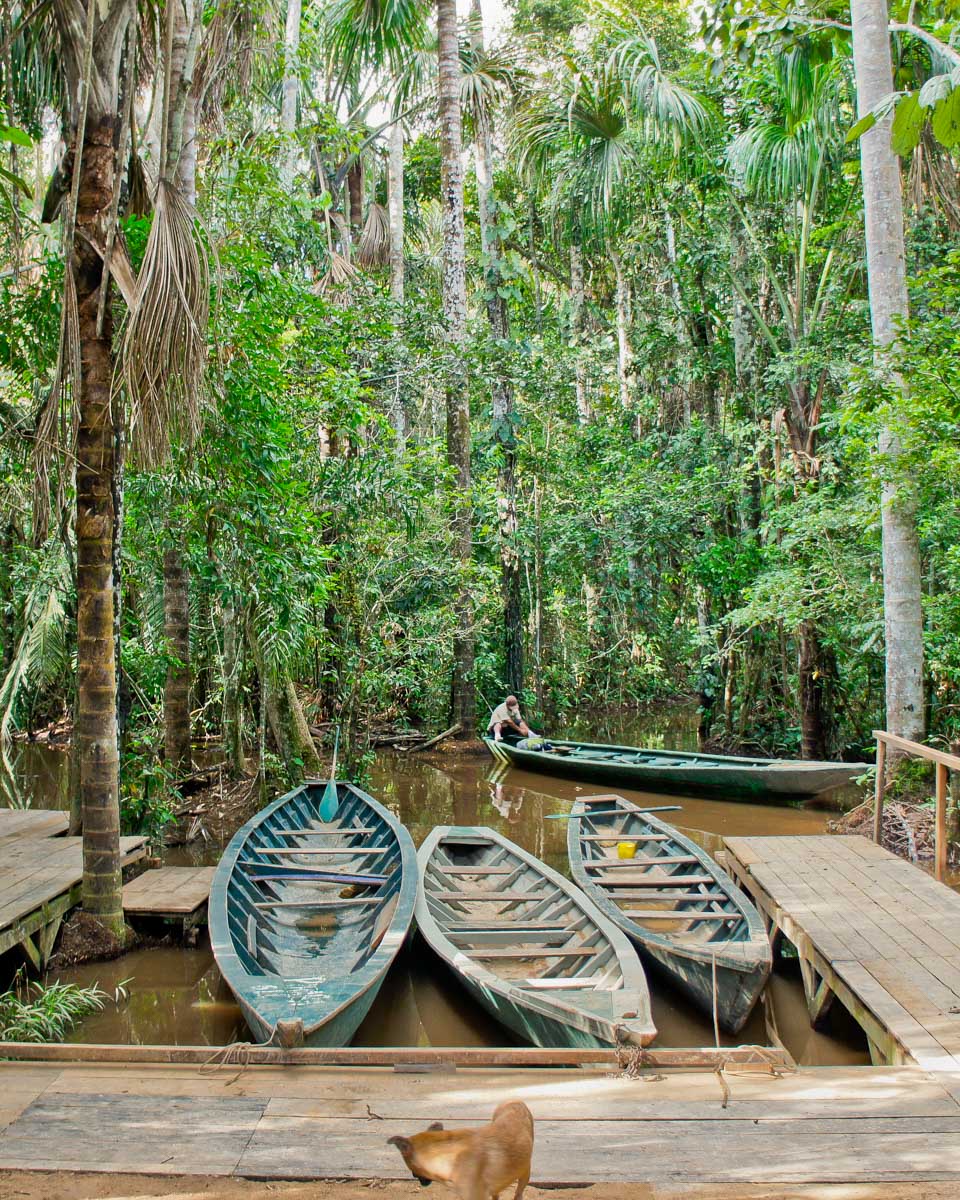 Boats in the Amazon in Tambopata Reserve Peru from Puerto Maldonado