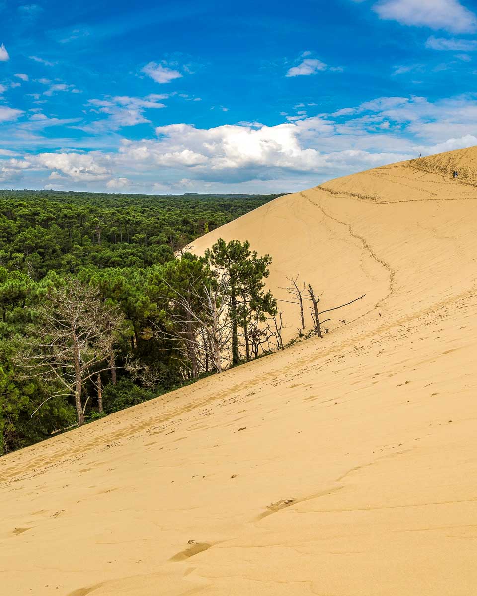Dune of Pilat on Arcachon Bay on a tour from Bordeaux France