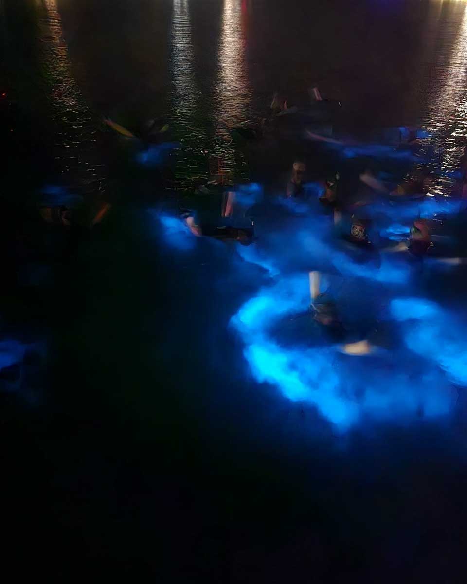 George's Watersports people swim in Bioluminescence in Grand Cayman