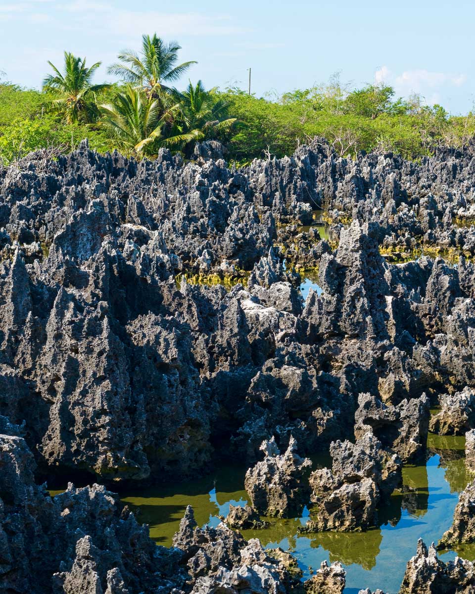 Hell limestone formation in Grand Cayman