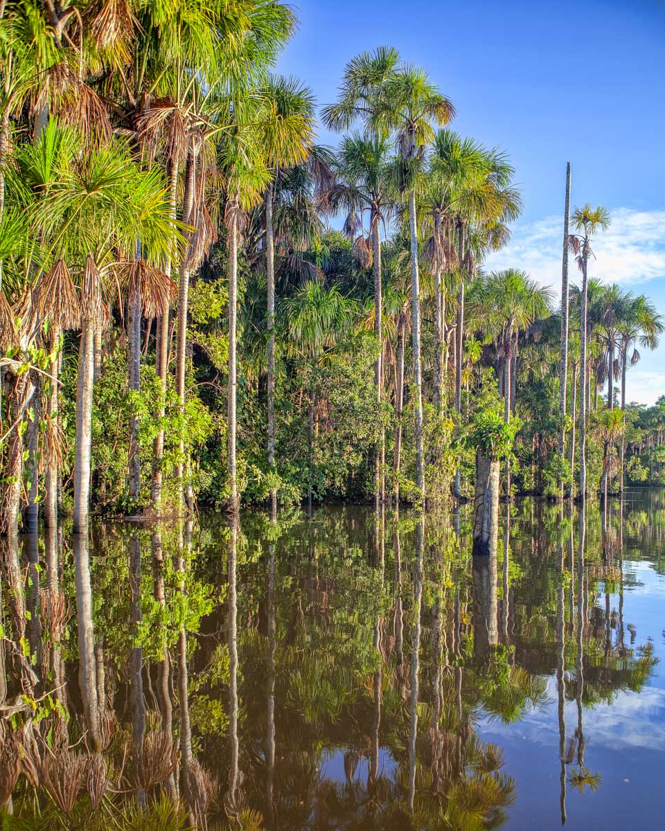Lake Sandoval seen on a tour from Puerto Maldonado Peru
