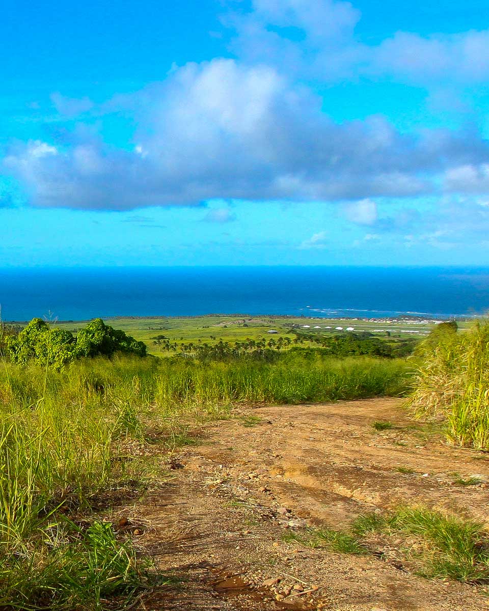 Landscape of St Kitts and Nevis