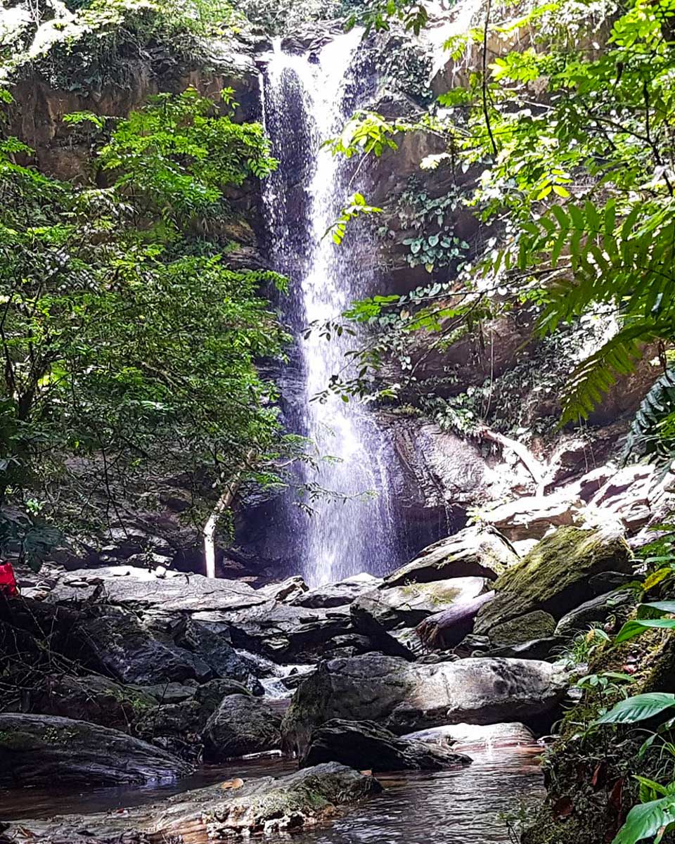 Los Exploradorestt Tours Ltd the Avocat Waterfall seen in Trinidad