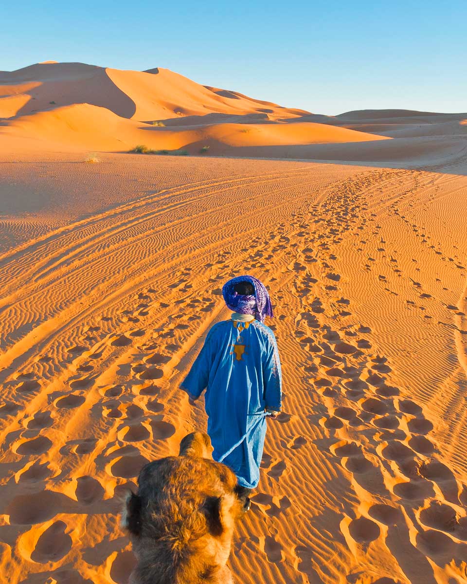 Riding a camel through the Sahara Desert in Merzouga