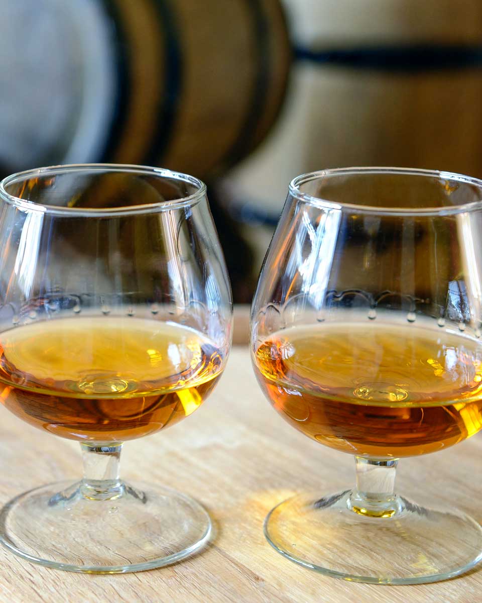 Rum tasting at the Ron Barcelo Anejo Factory in Santo Domingo Dominican Republic