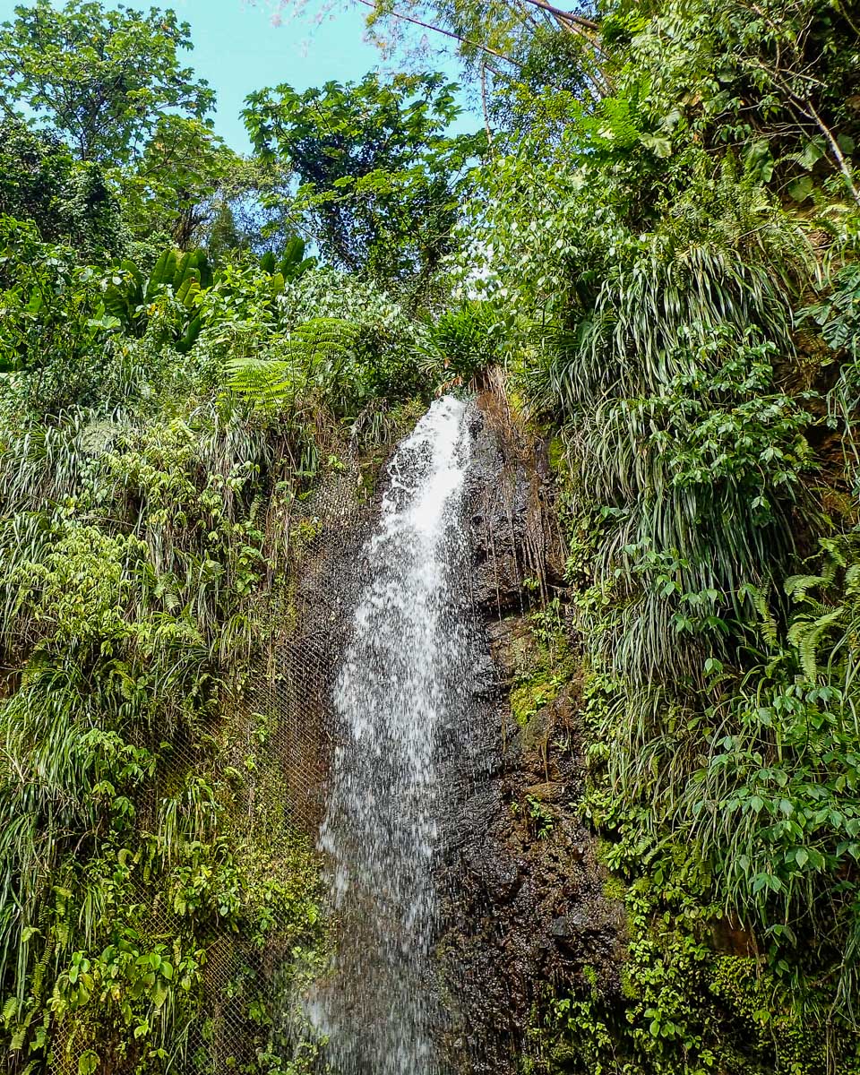 Toraille Waterfall seen on a tour of St Lucia