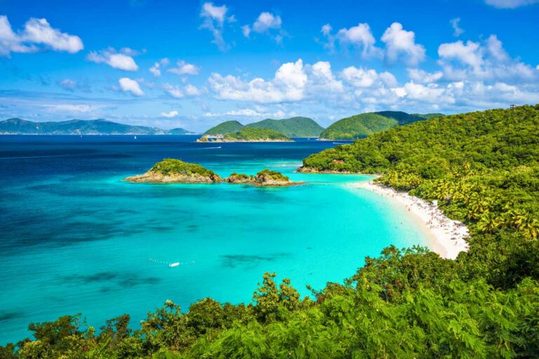 8 Best Things to do in Saint John