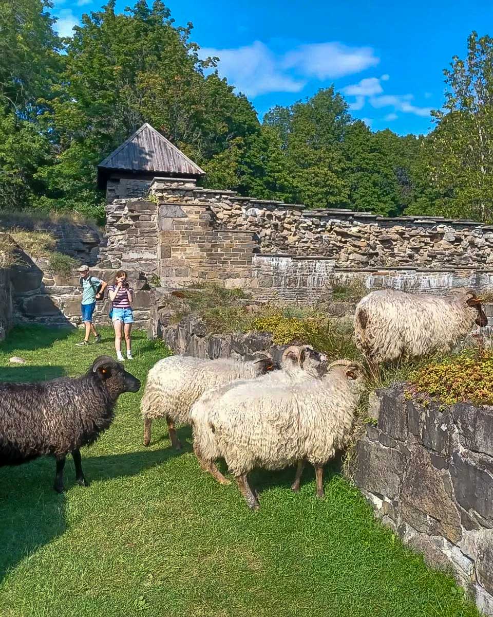 Viking Biking & Viking Hiking lindoya monastary seen on a tour from Oslo Norway
