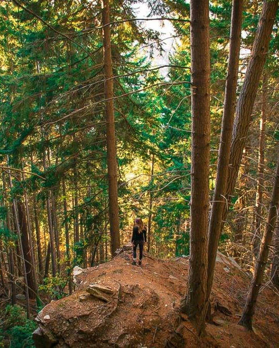 Bailey stands off the trail in Gauja National Park on a tour from Riga Latvia