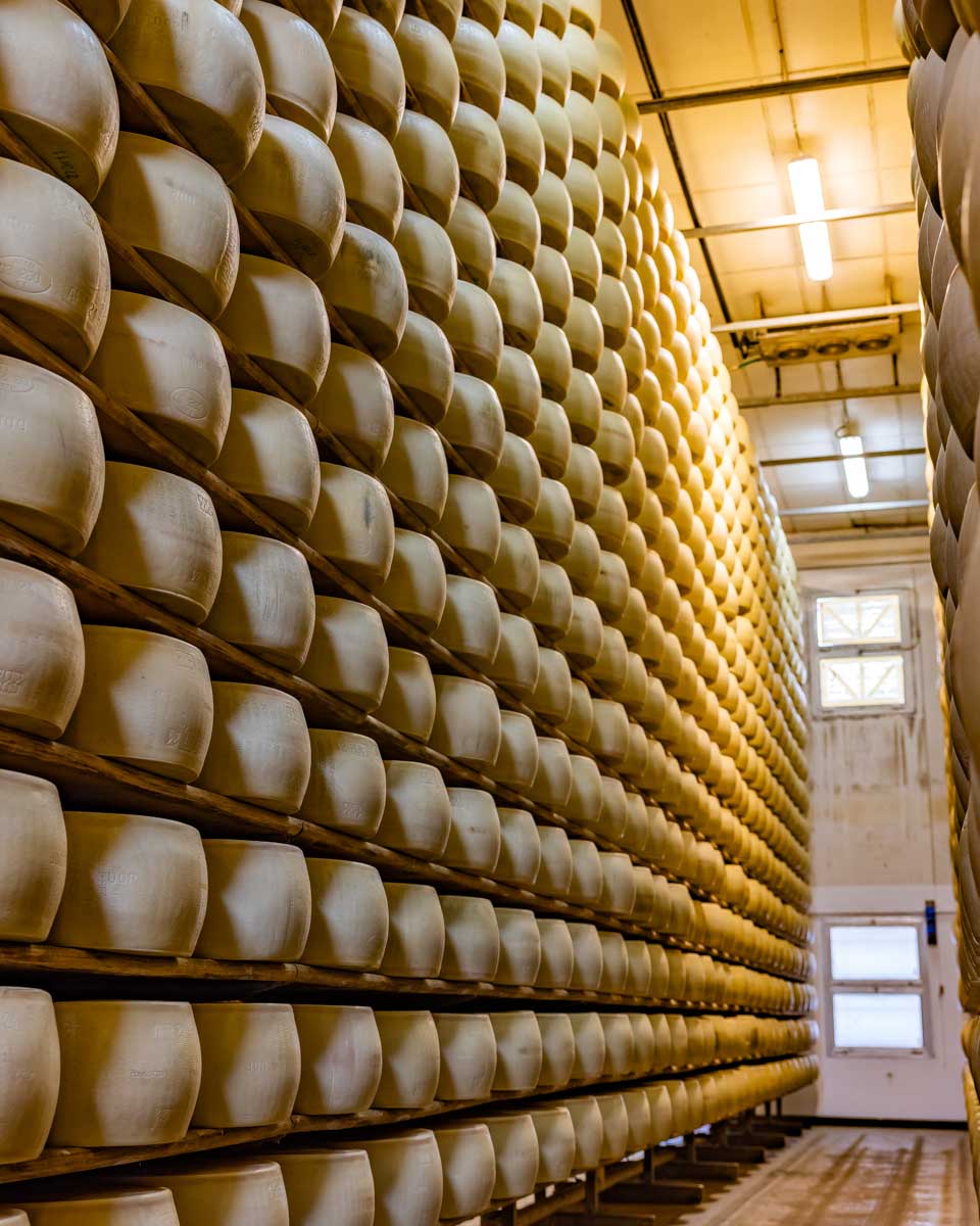 Modena Parmigiano Reggiano seen on a tour from Bologna Italy