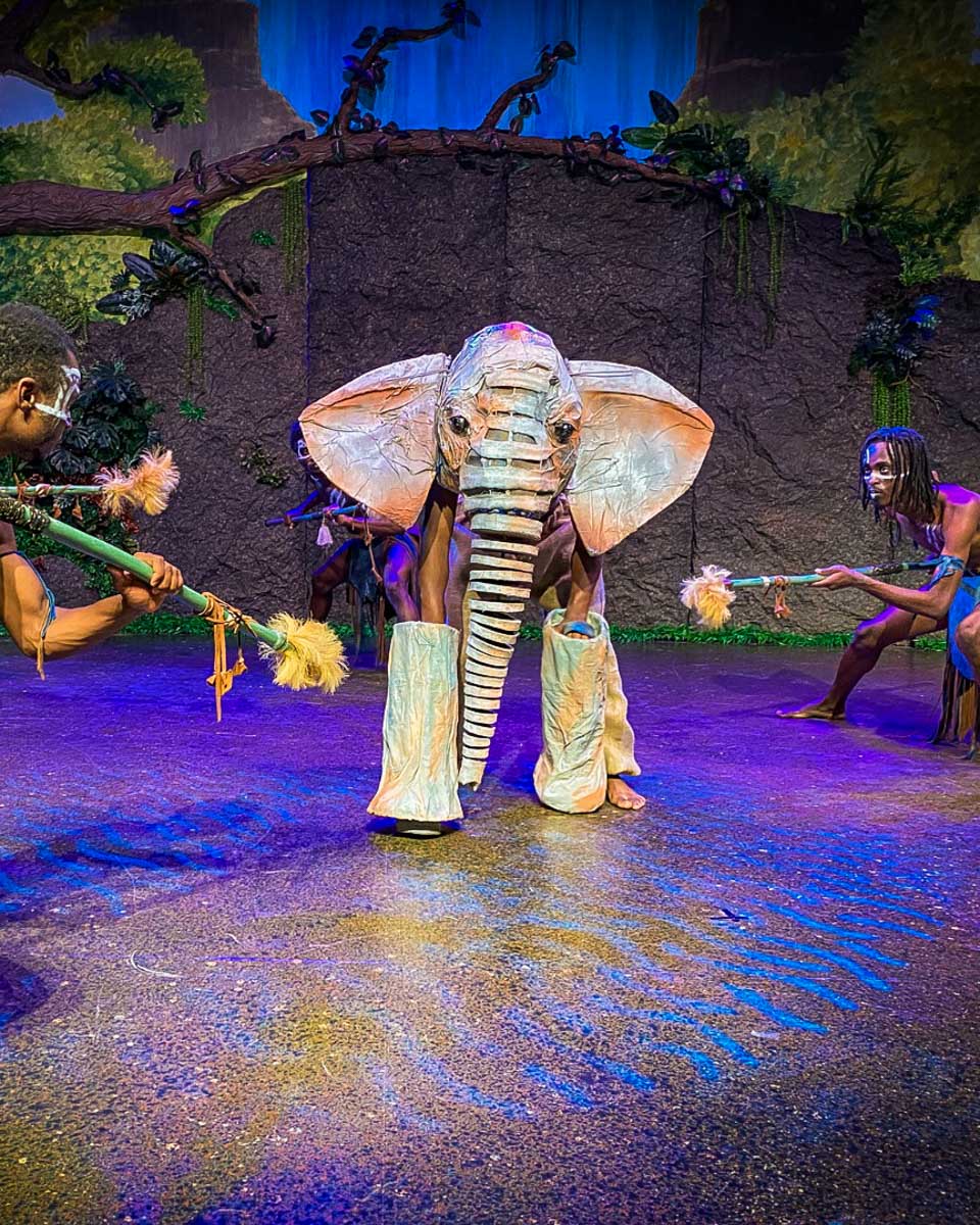 Simunye.live a theatre show for spirit of africa and an elephant seen in Victoria Falls