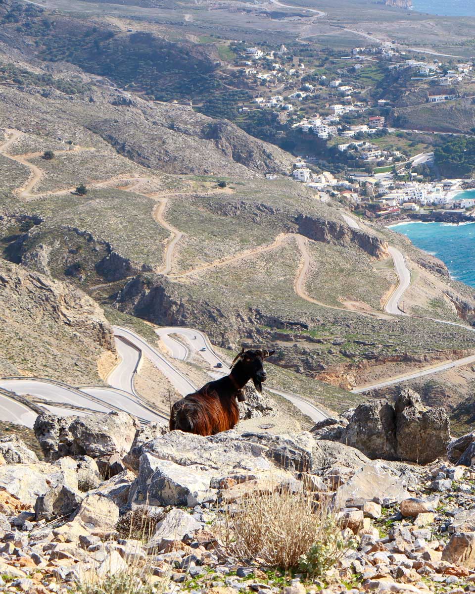 The countryside of Crete on a tour in Greece