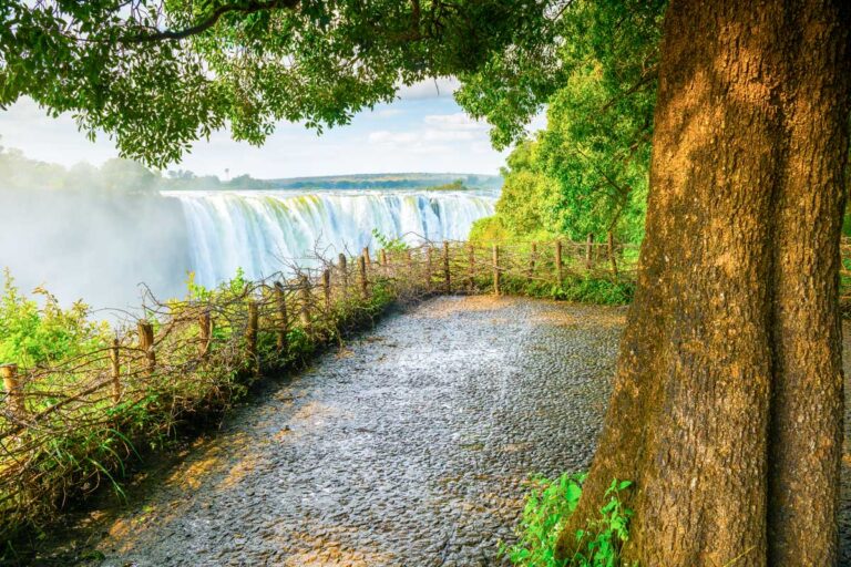 Victoria Falls and a walkway