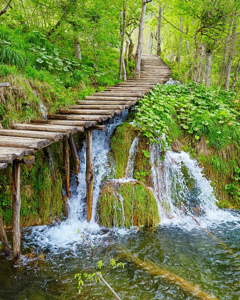 plitvice lakes national park a boardwalk seen on a tour from Split Croatia