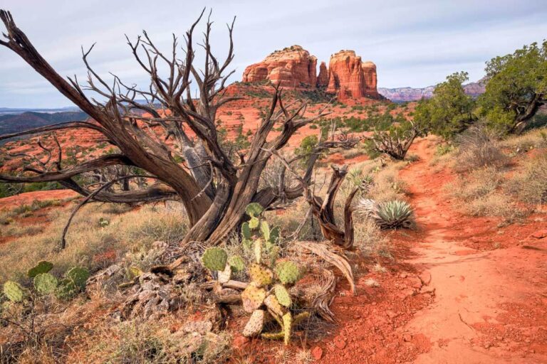 Hiline trail leads toward views of Cathedral Rock, Sedona Arizona