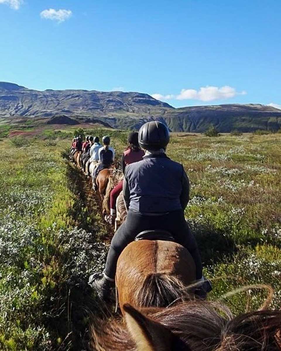 Íshestar horseback riding tours in Iceland people on a horseback tour from Reykjavik Iceland