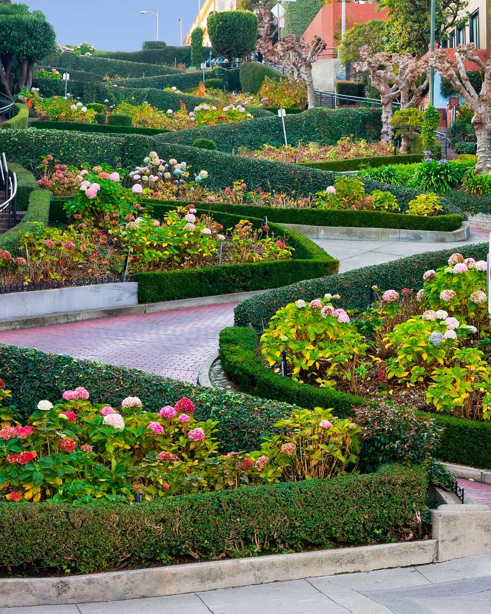 Lombard Street seen on a tour in San Francisco