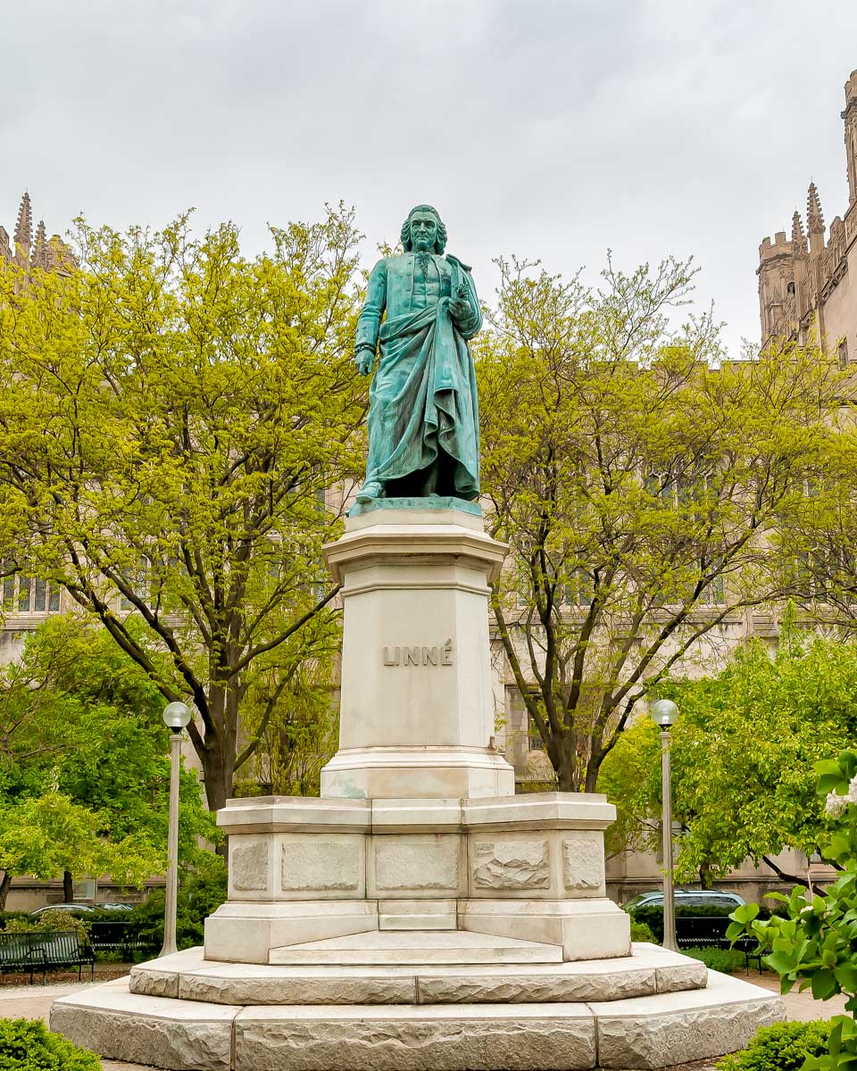 Monument to Carl Linnaeus in the Hyde Park in Chicago Illinois