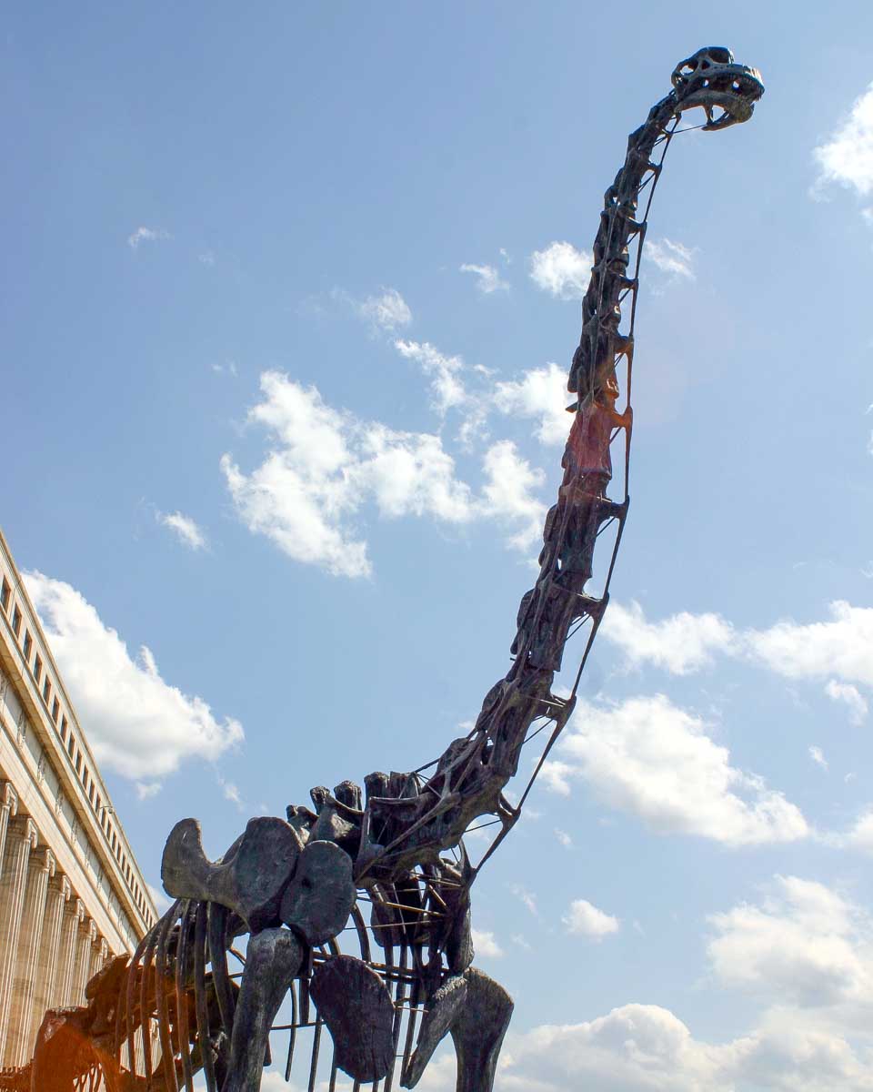 Outside the Field Museum in Chicago Illinois