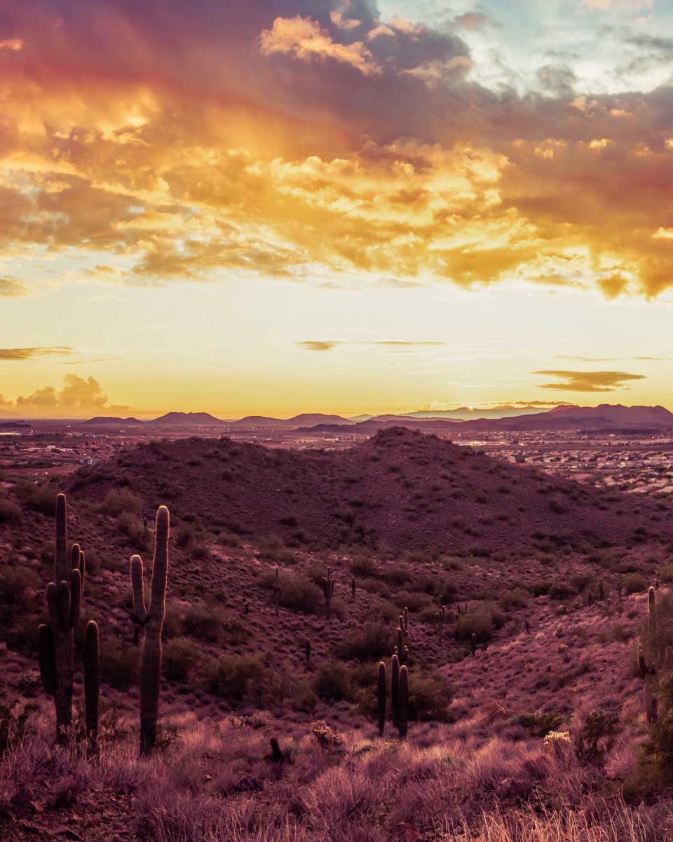 The Sonoran Desert loking at Phoenix at sunset on a hiking tour from Phoenix Arizona