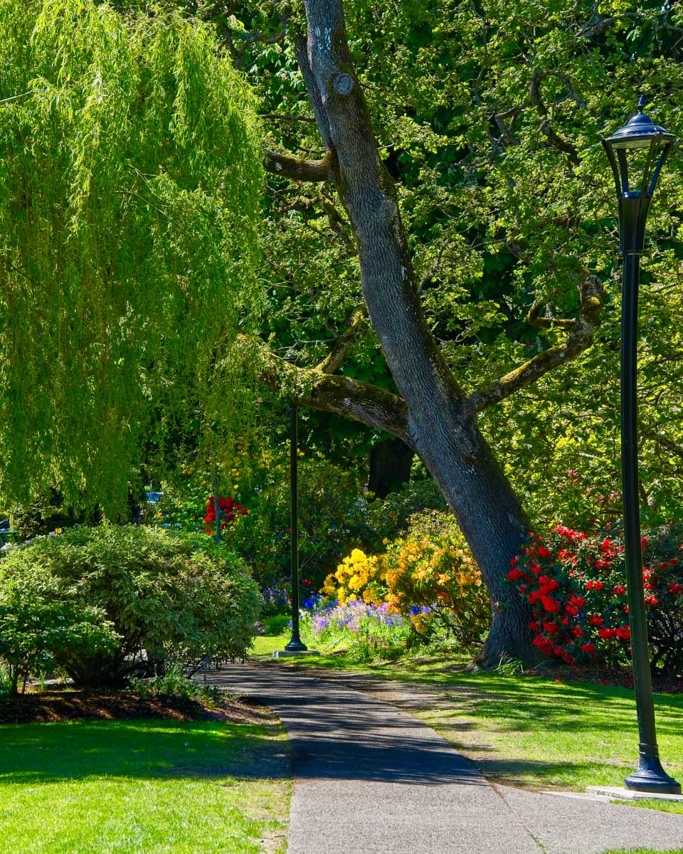 Beacon Hill Park seen on a sunny day in Victoria BC