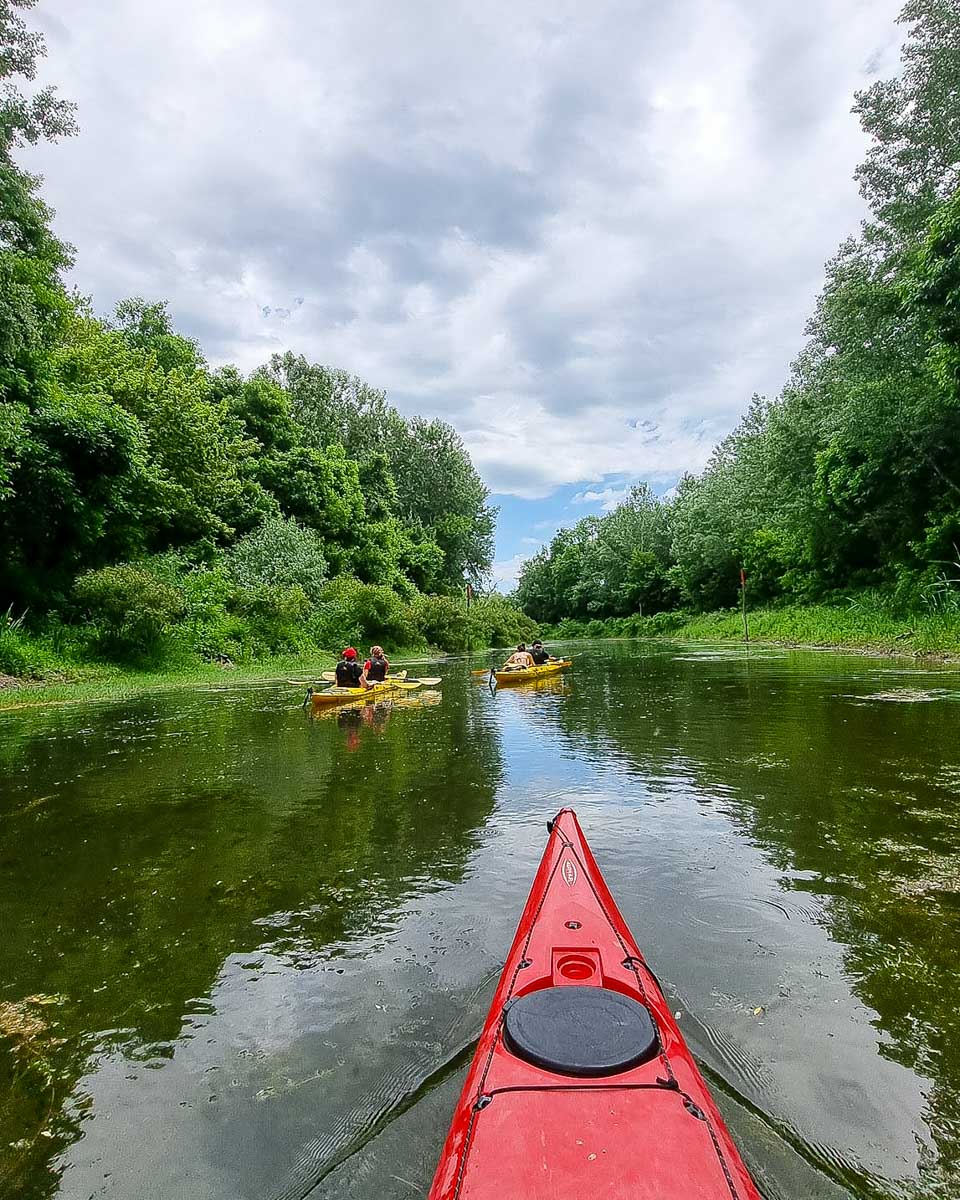 Belgrade Adventure people kayak to Great War Island from Belgrade Serbia