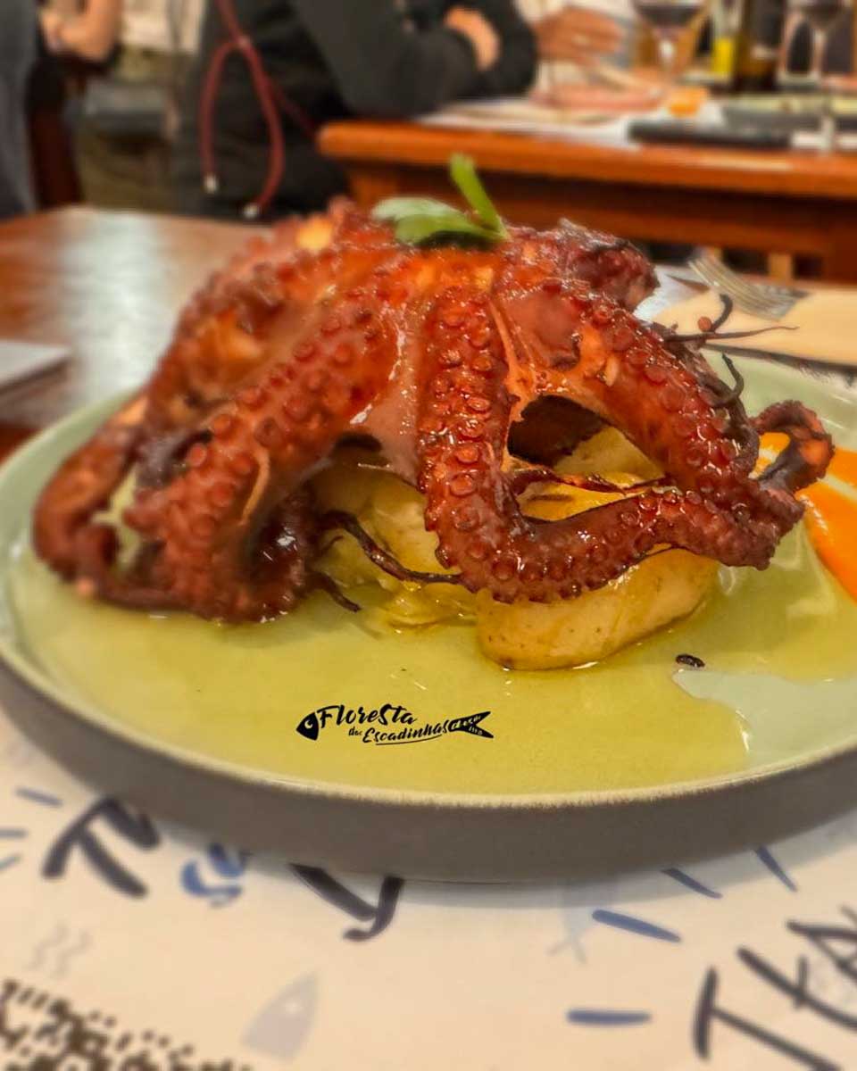 Floresta das Escadinhas in Lisbon Portugal