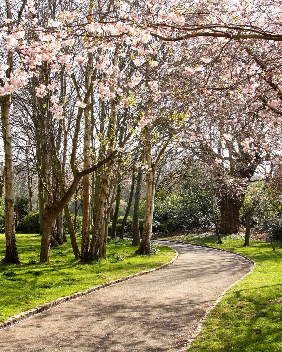 Merrion Square Park in Dublin Ireland