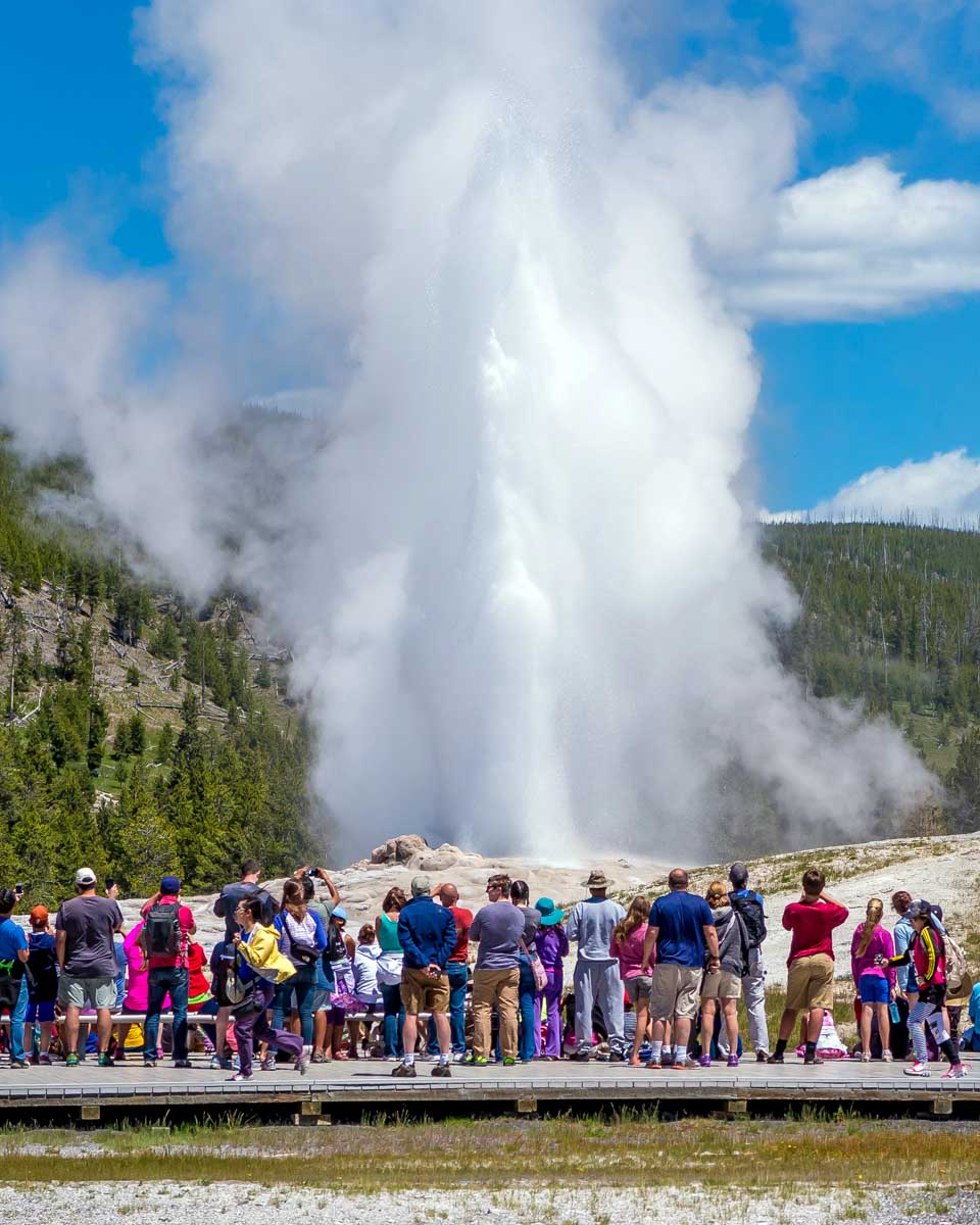 Old Faithful seen on a tour to Yellowstone National Park from Jackson Hole Wyoming