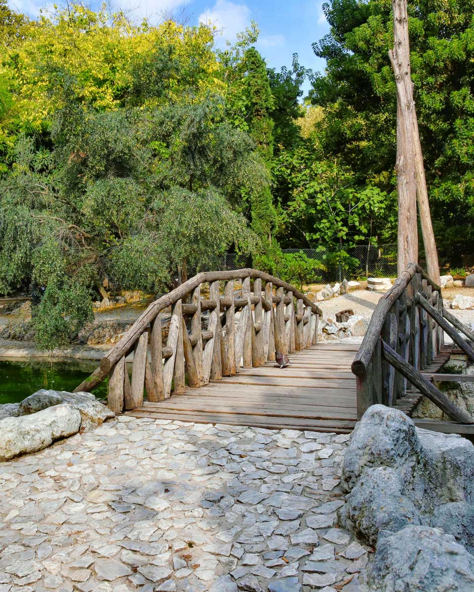 The National Garden in Athens Greece