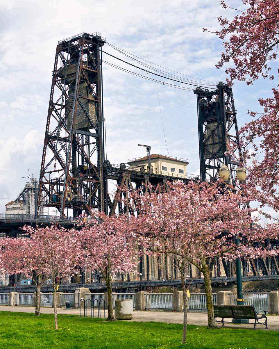 The Steel Bridge in Portland Oregon