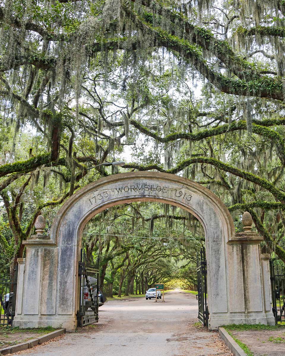 The Wormsloe State Historic Site in Savannah Georgia