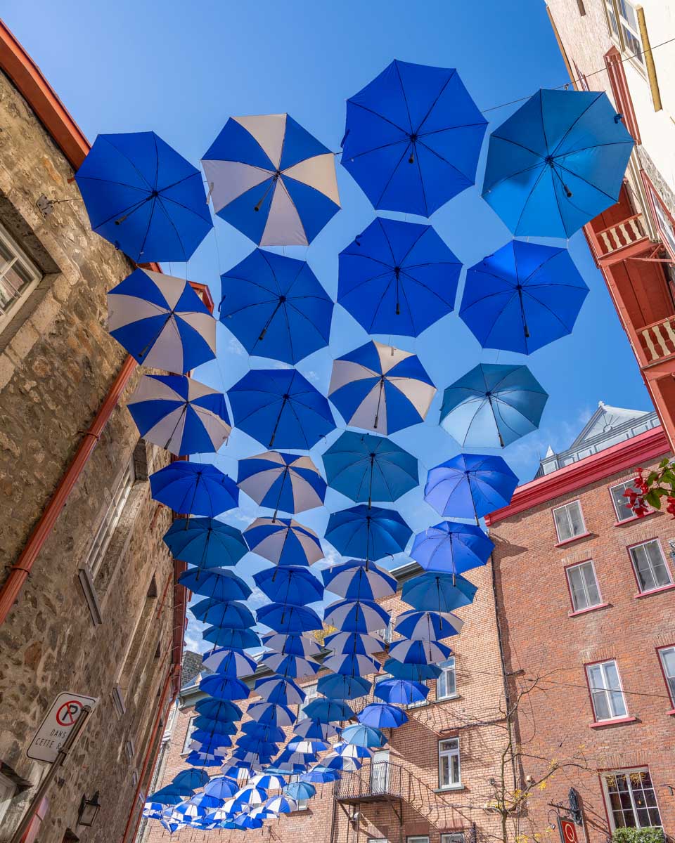 Umbrella Alley in Old City Quebec City seen on a walking tour Quebec