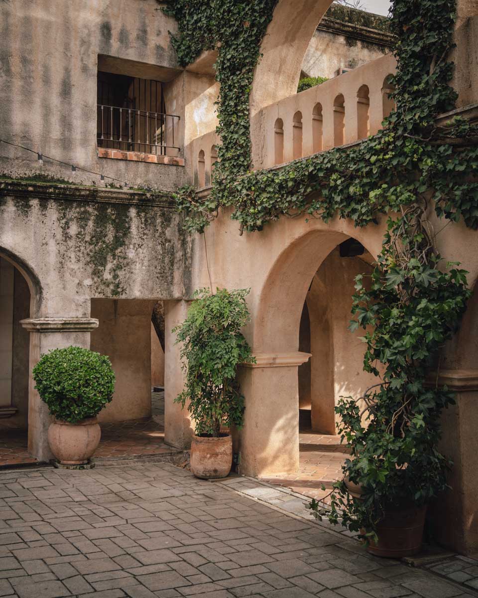 Architecture and vine in Tlaquepaque Sedona Arizona