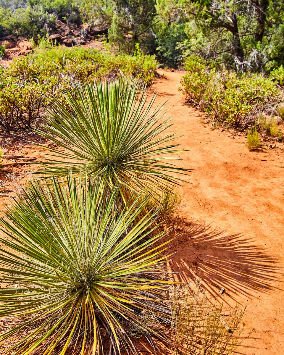 Devils Bridge hike in Sedona Arizona 1