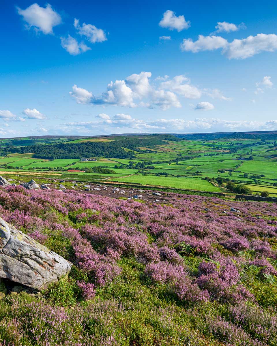 North York Moors seen on a tour from York United Kingdom