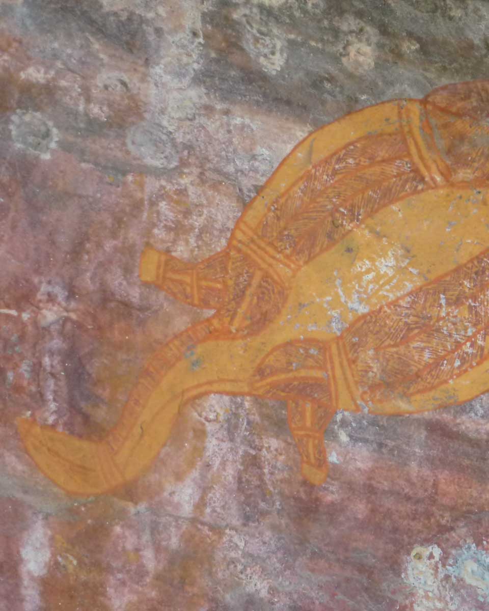 Rock-art-in-Kakadu-National-Park on a tour from Darwin Australia