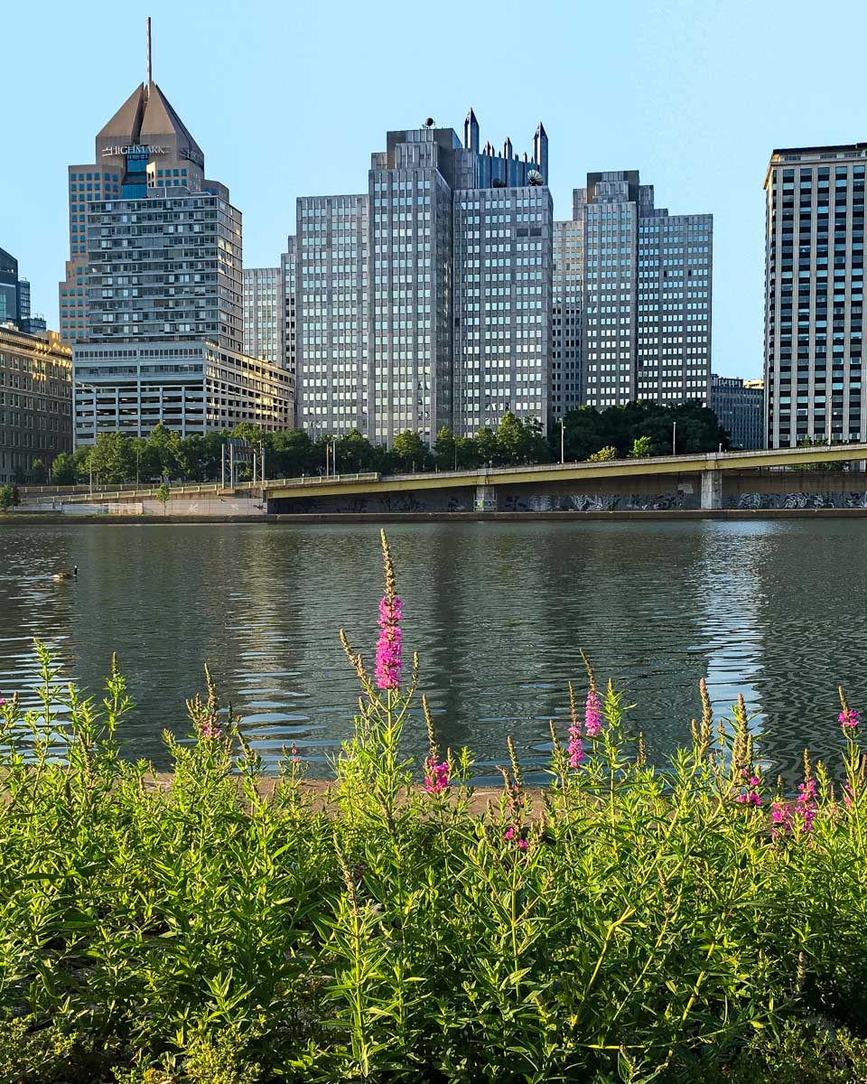 The Pittsburgh waterfront at Point State Park seen on a bike tour in Pennsylvania