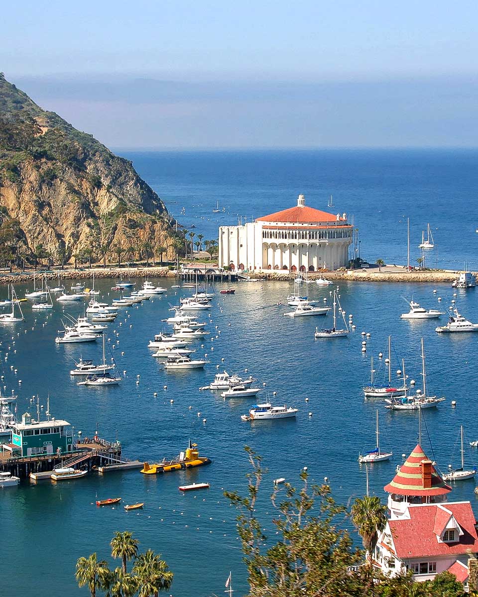 The view of Avalon and the bay on a tour on Catalina Island California