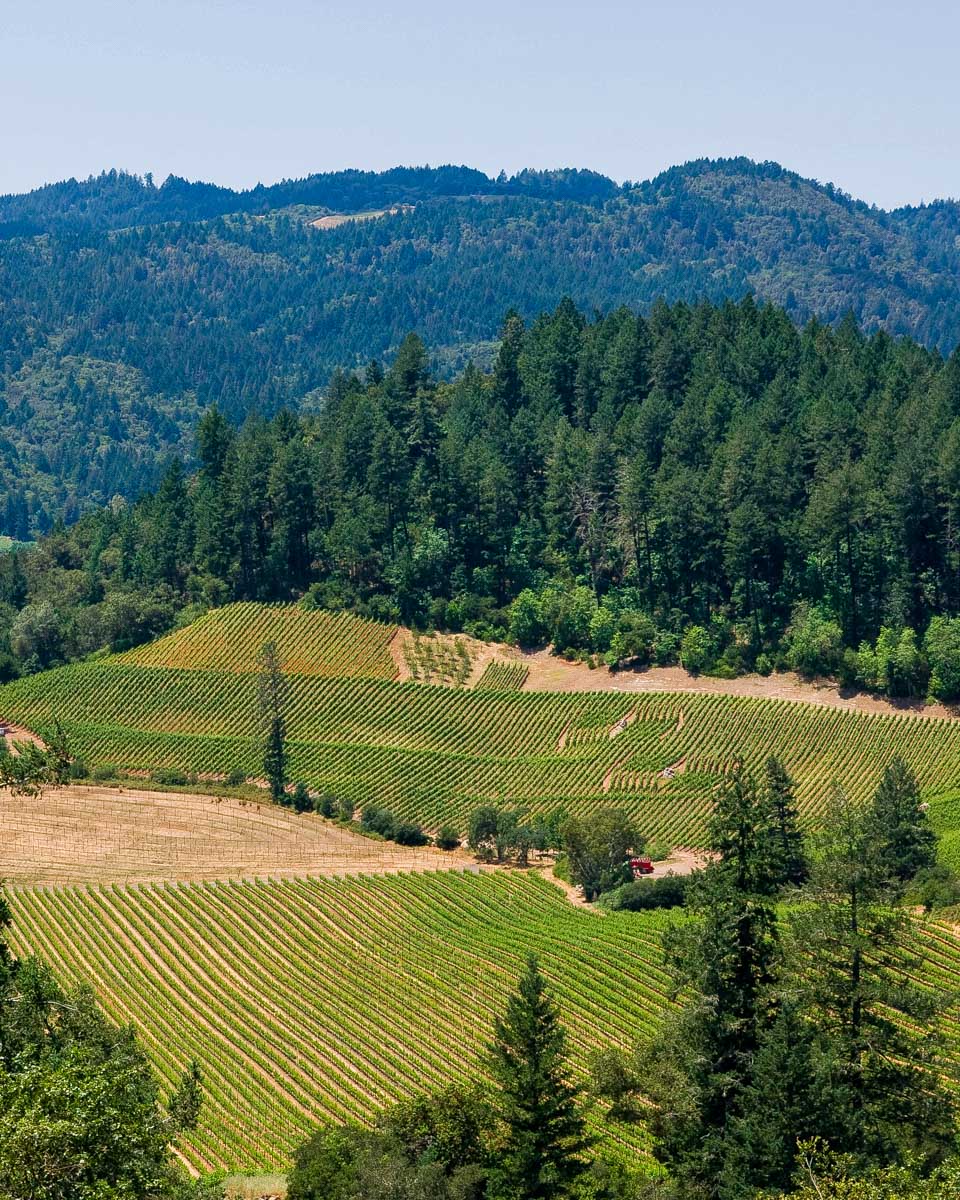 View of Napa Valley from a hot air balloon on a tour from Napa California