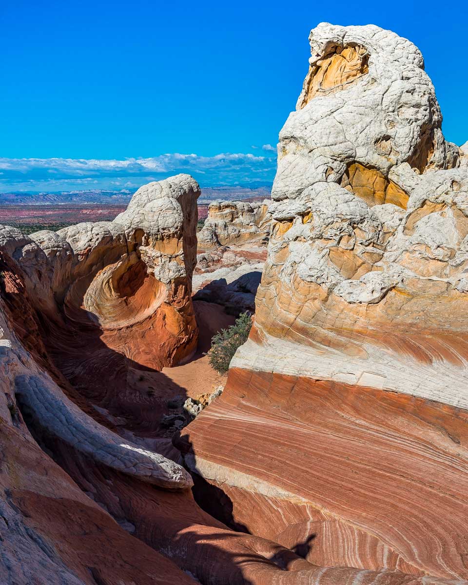 White Pocket Vermilion seen near Page Arizona