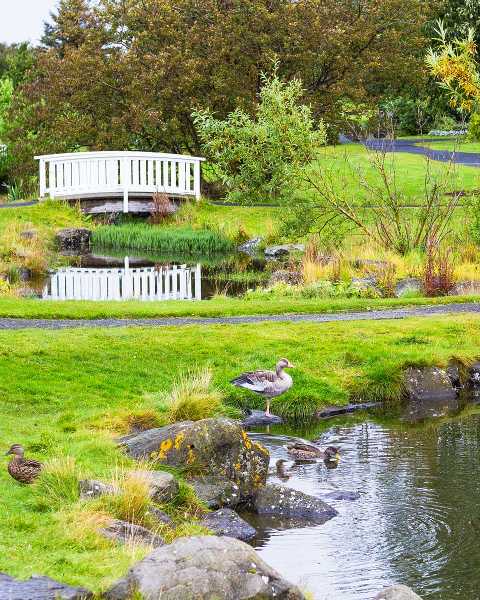 park in Laugardalur Reykjavik Iceland (1)