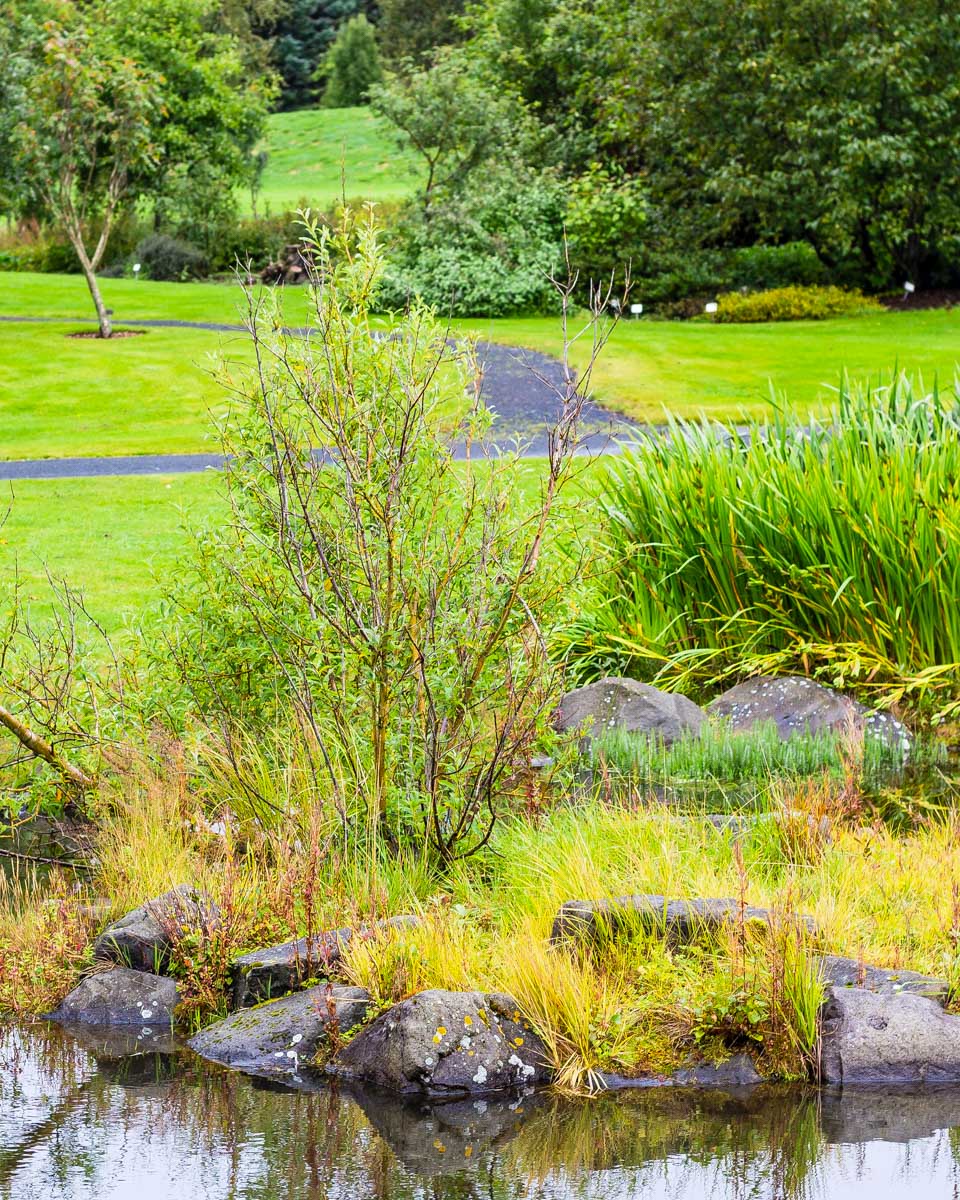 park in Laugardalur Reykjavik Iceland (2)